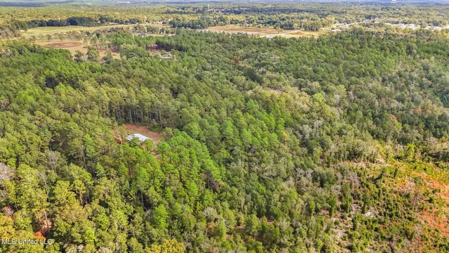 $215,000 | 35-acres Richard Reeves Road, Lucedale, MS 39452