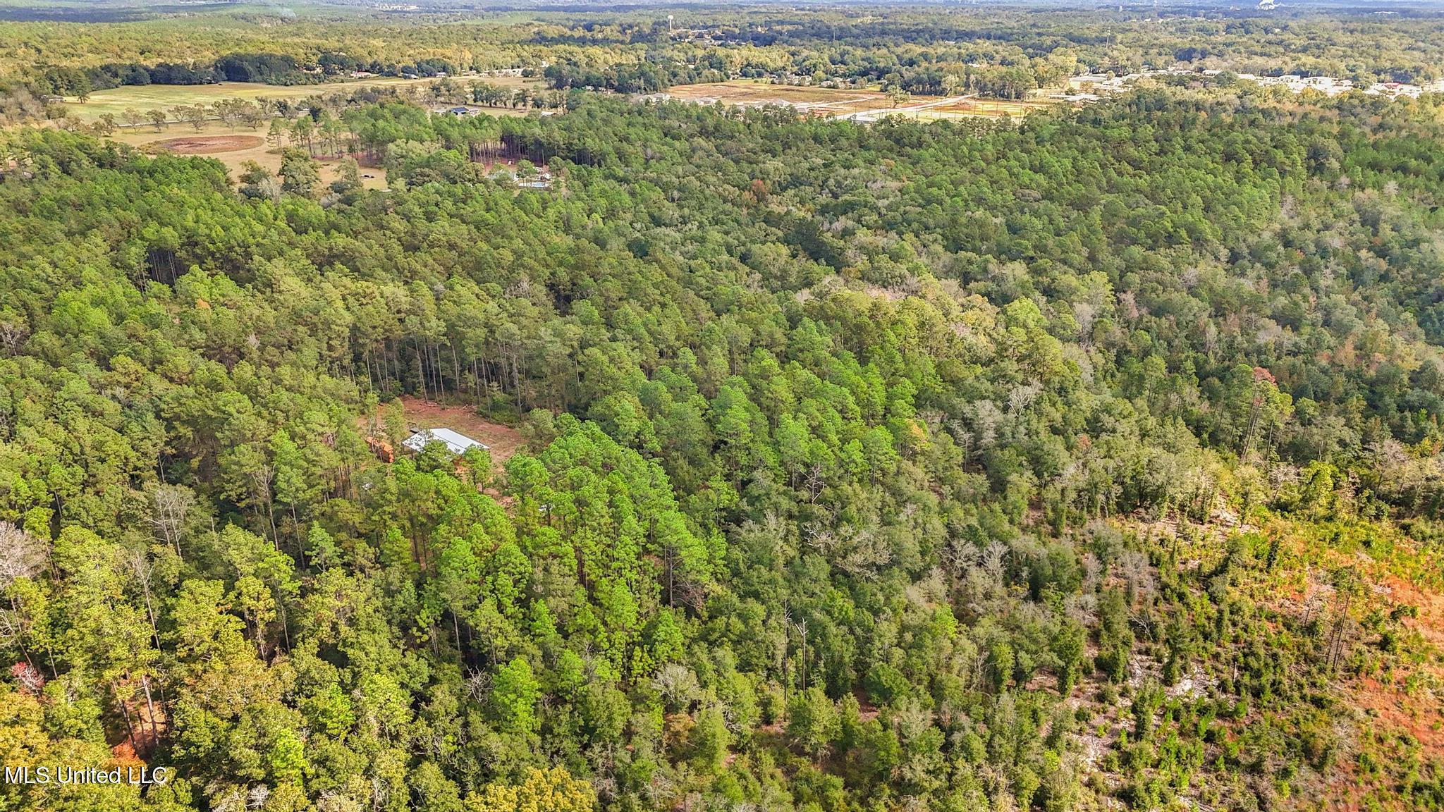 35-acres Richard Reeves Road Lucedale, MS 39452 - Photo 14 of 21 013