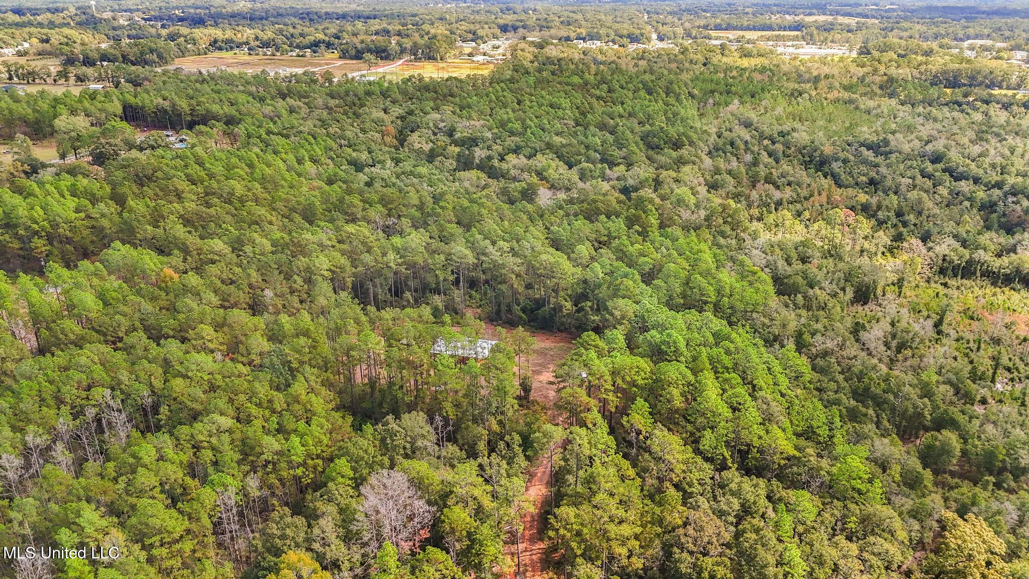 35-acres Richard Reeves Road Lucedale, MS 39452 - Photo 15 of 21 014