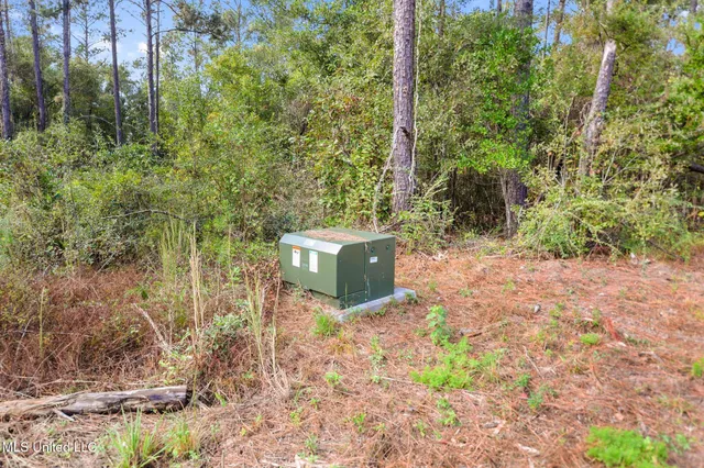 $215,000 | 35-acres Richard Reeves Road, Lucedale, MS 39452