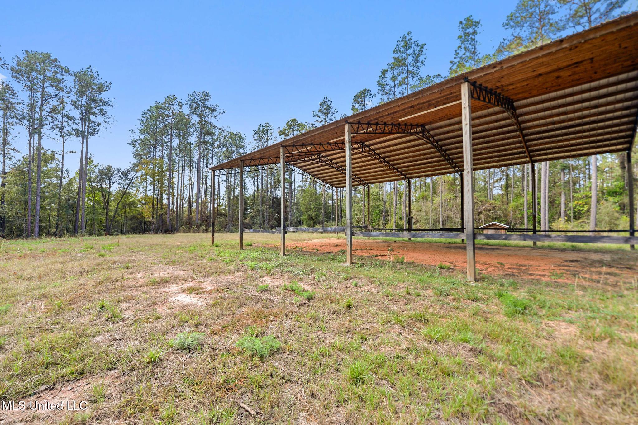 35-acres Richard Reeves Road Lucedale, MS 39452 - Photo 19 of 21 018