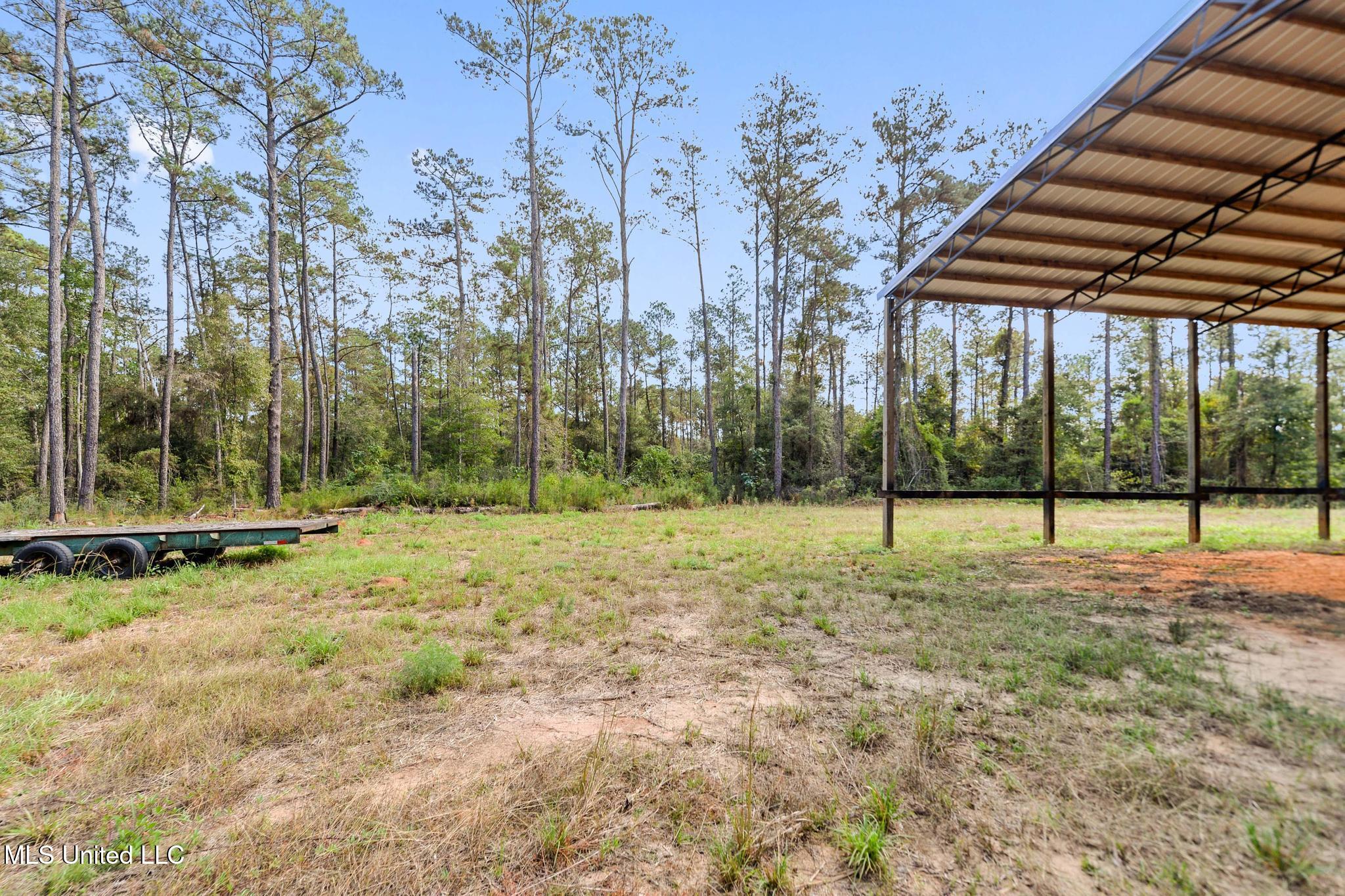 35-acres Richard Reeves Road Lucedale, MS 39452 - Photo 20 of 21 019
