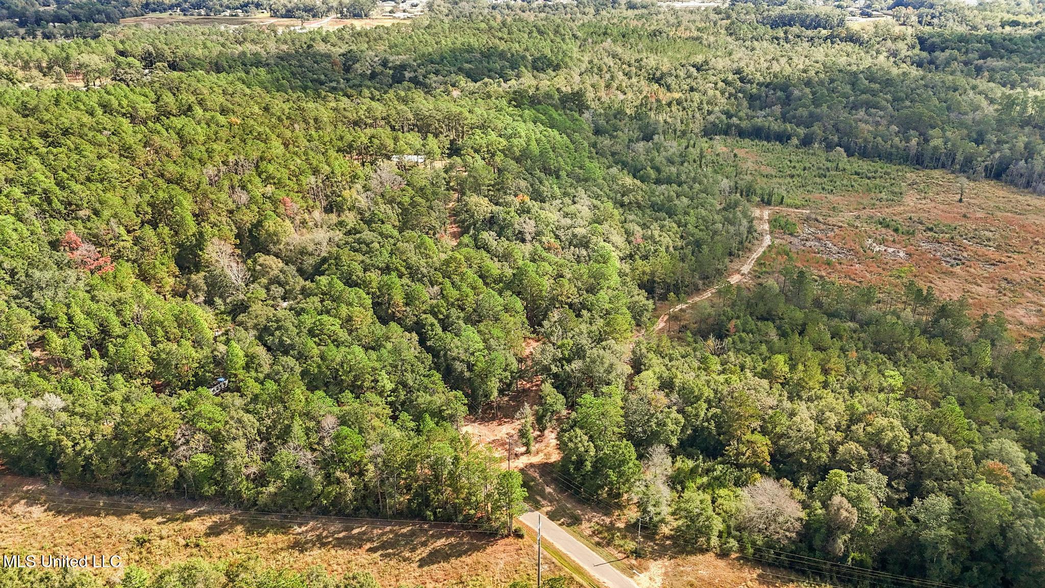 35-acres Richard Reeves Road Lucedale, MS 39452 - Photo 2 of 21 001