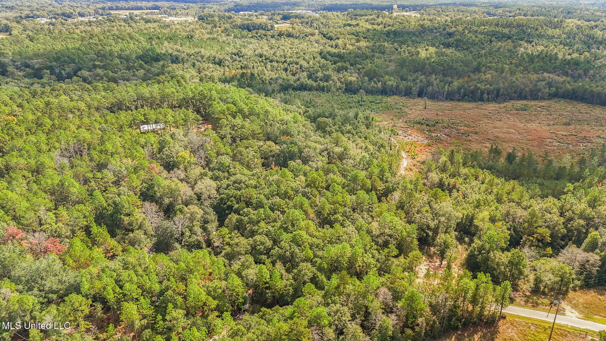 35-acres Richard Reeves Road Lucedale, MS 39452 - Photo 3 of 21 002