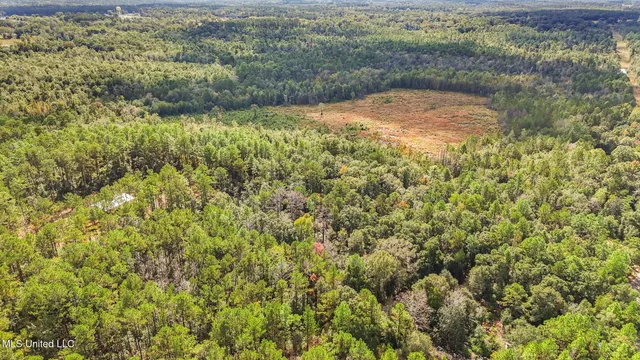 $215,000 | 35-acres Richard Reeves Road, Lucedale, MS 39452