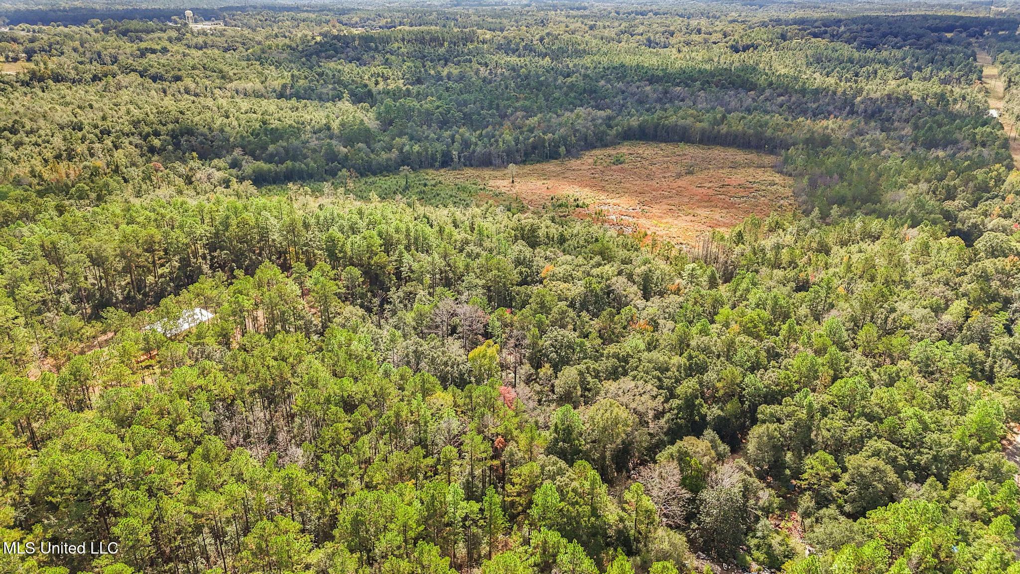 35-acres Richard Reeves Road Lucedale, MS 39452 - Photo 4 of 21 003