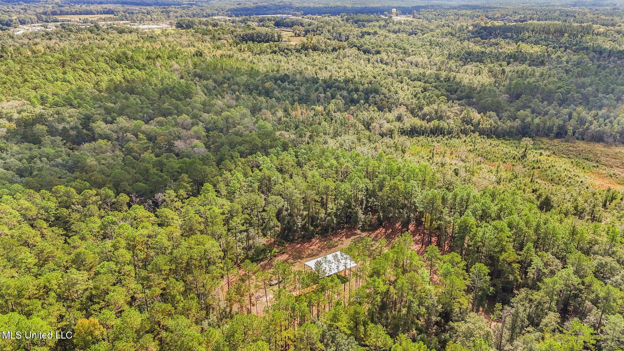 35-acres Richard Reeves Road Lucedale, MS 39452 - Photo 5 of 21 004