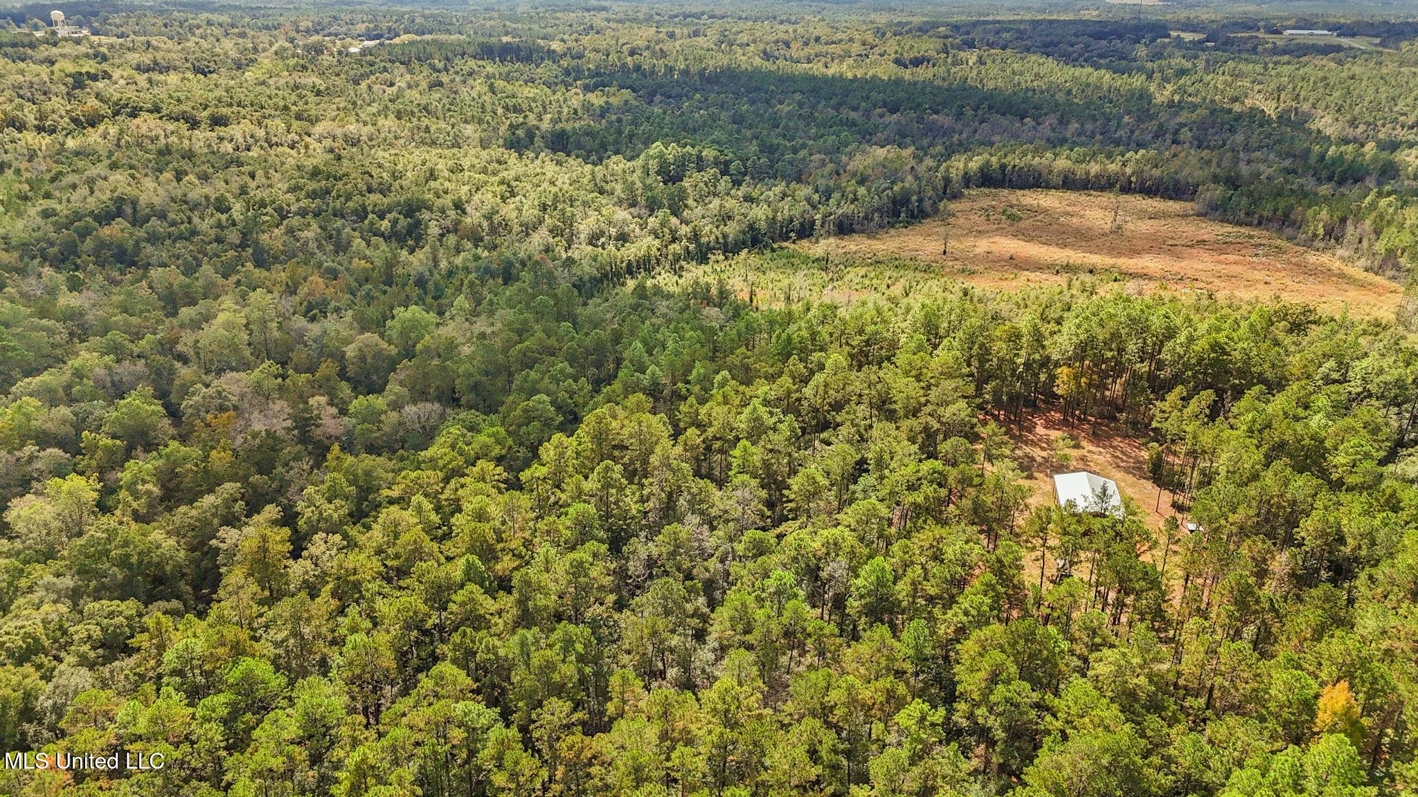 35-acres Richard Reeves Road Lucedale, MS 39452 - Photo 6 of 21 005