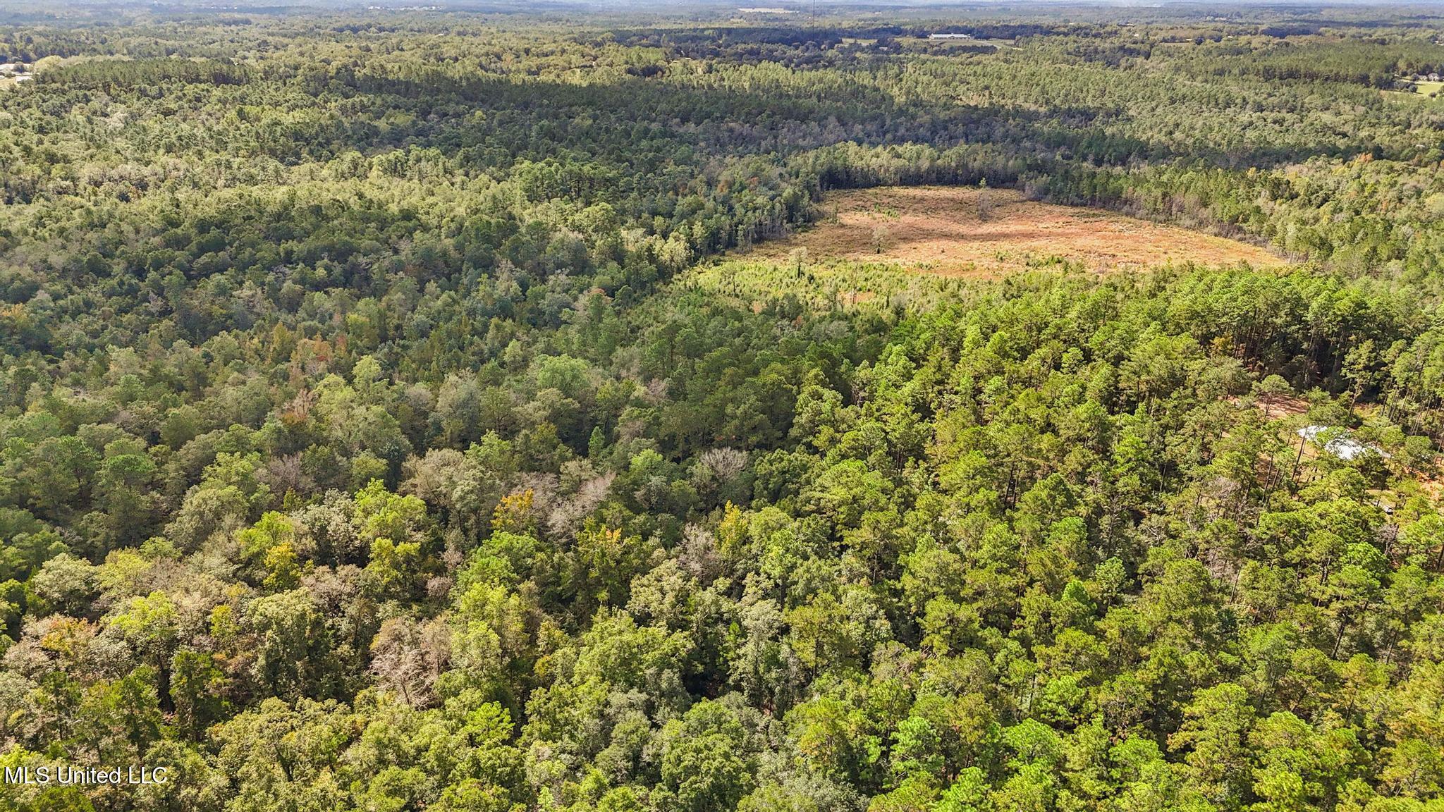 35-acres Richard Reeves Road Lucedale, MS 39452 - Photo 7 of 21 006