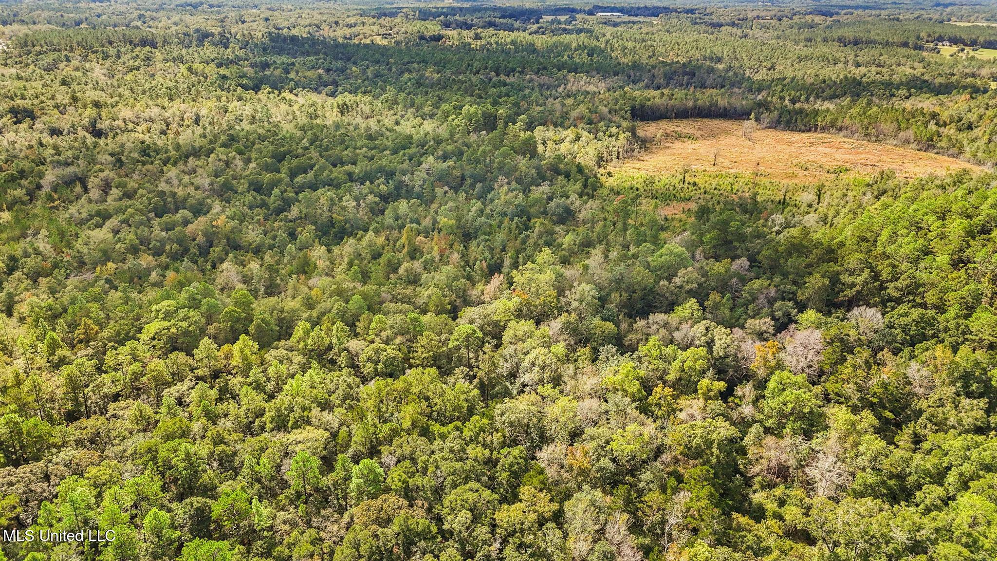 35-acres Richard Reeves Road Lucedale, MS 39452 - Photo 8 of 21 007