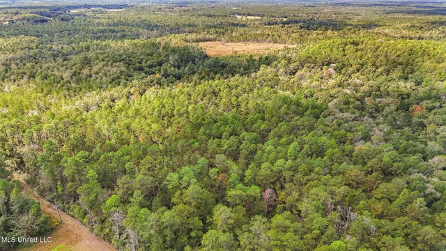 $215,000 | 35-acres Richard Reeves Road, Lucedale, MS 39452