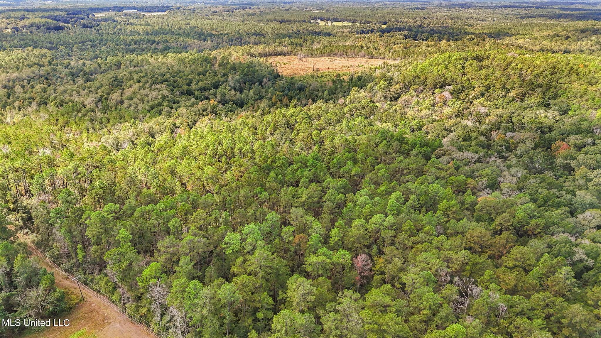 35-acres Richard Reeves Road Lucedale, MS 39452 - Photo 9 of 21 008