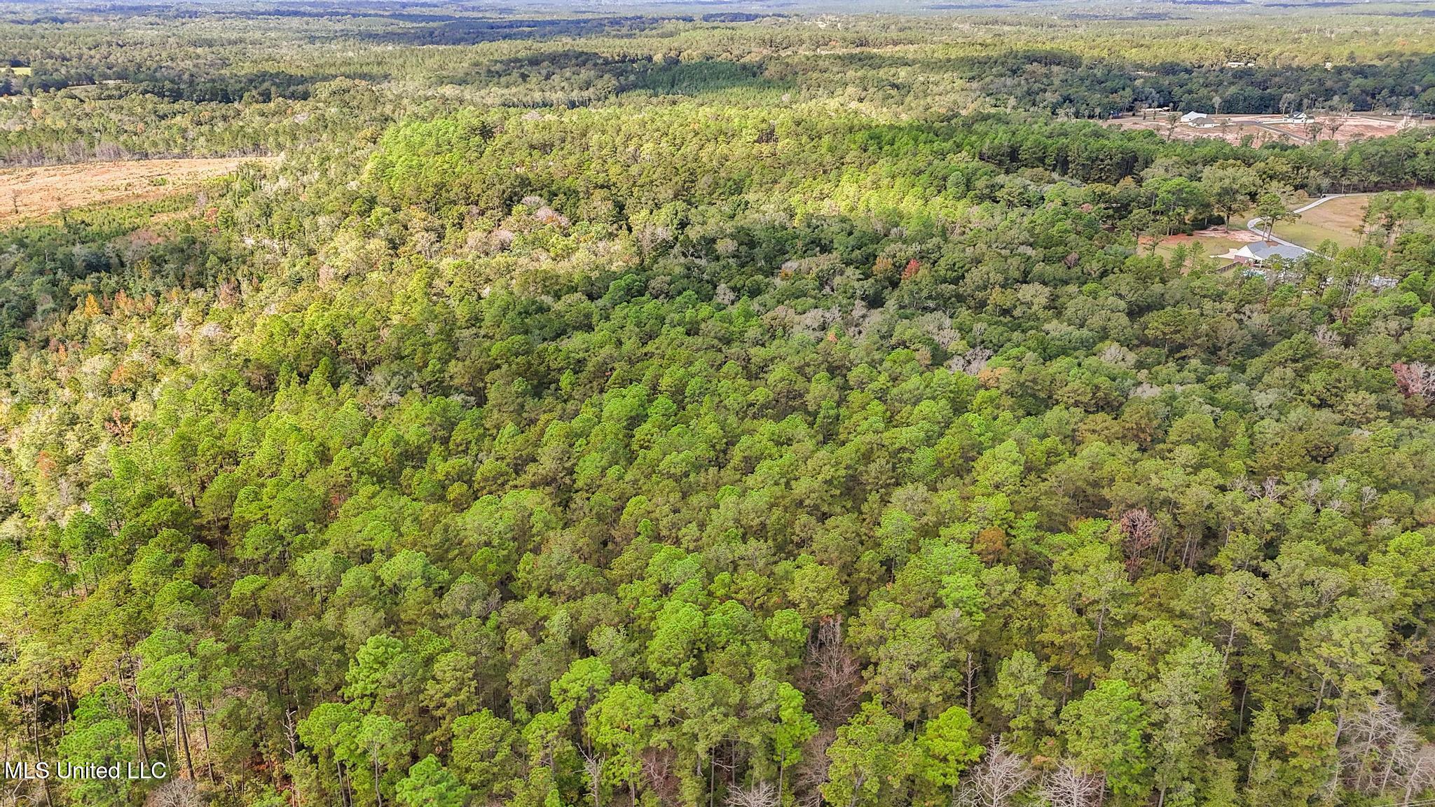 35-acres Richard Reeves Road Lucedale, MS 39452 - Photo 10 of 21 009