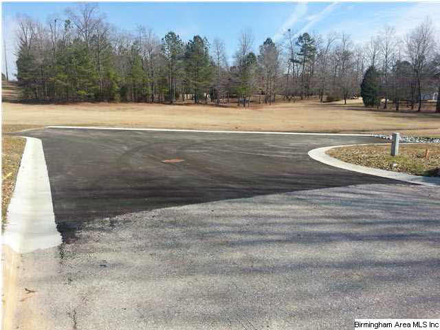 100 Cahaba Oaks Trail Pelham, AL 35124 - Photo 3 of 24