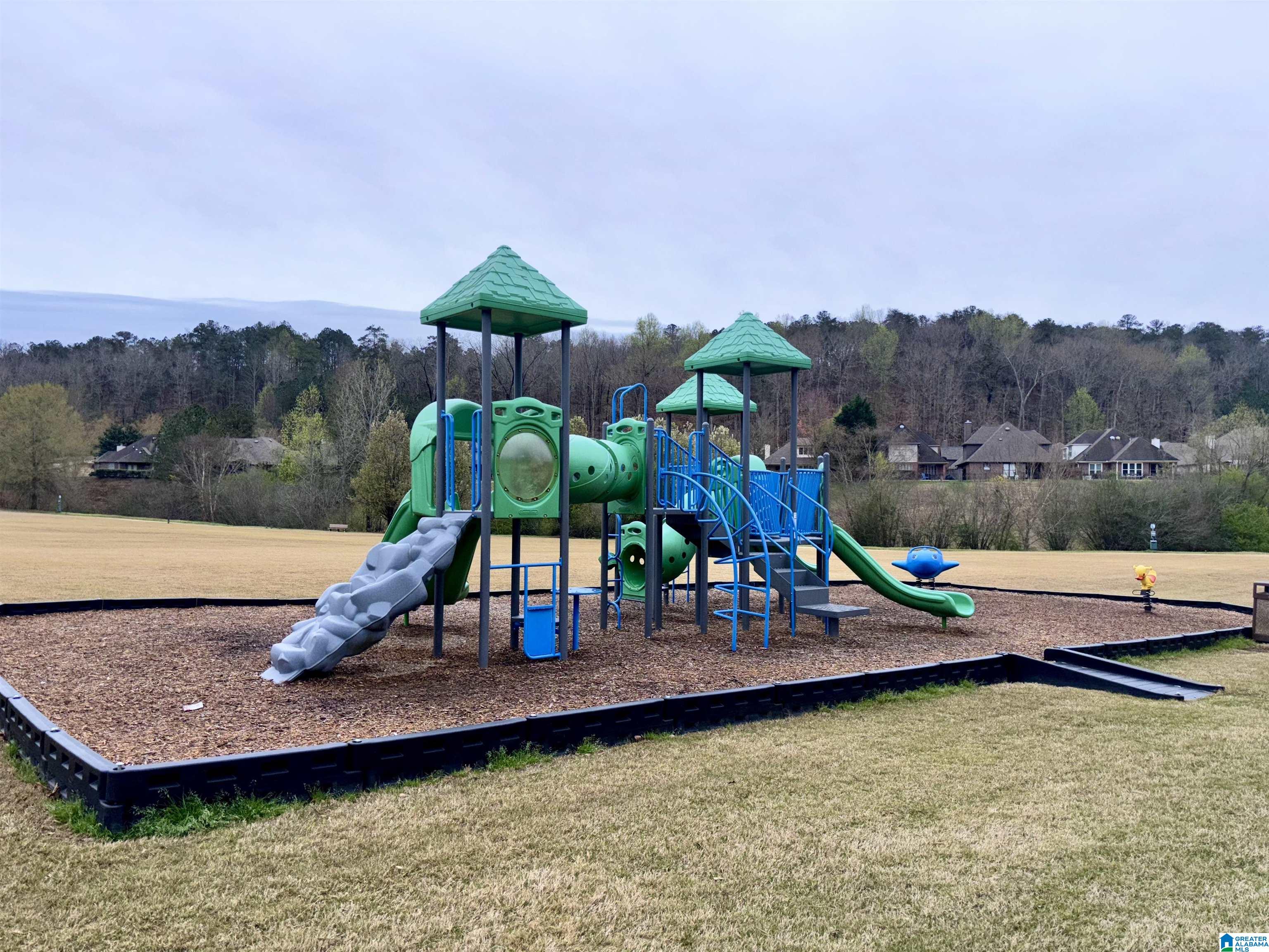 799 Reach Crest Birmingham, AL 35242 - Photo 4 of 23