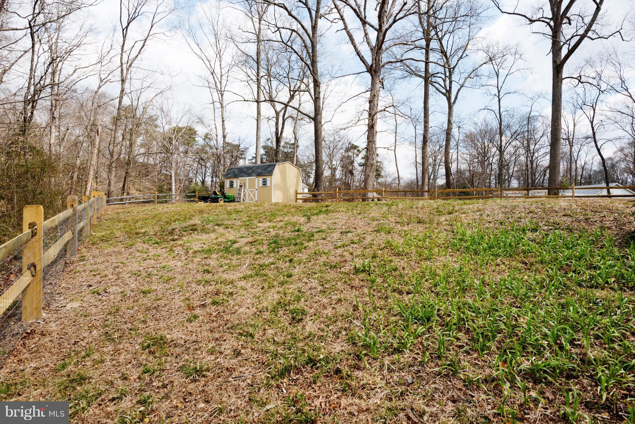 14600 Cherry Lane Ridgely, MD 21660 - Photo 25 of 25 Exterior (Rear)