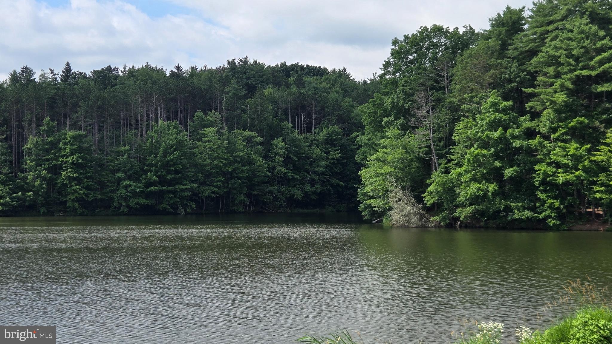 212 Thickhead Mountain Road Centre Hall, PA 16828 - Photo 12 of 28 Serene lake embraced by lush greenery.