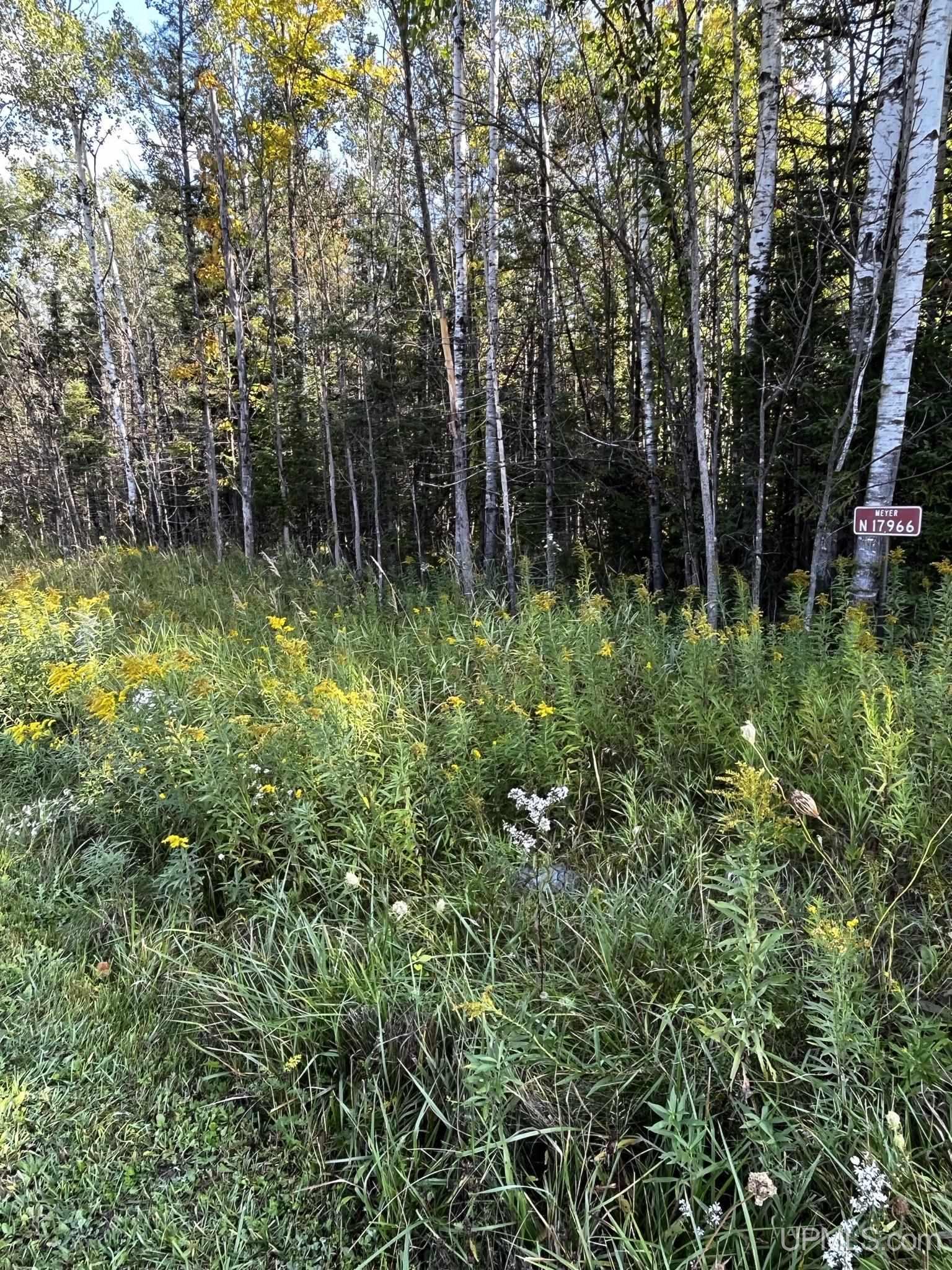 N17966 R-3 Road Vulcan, MI 49892 - Photo 2 of 5