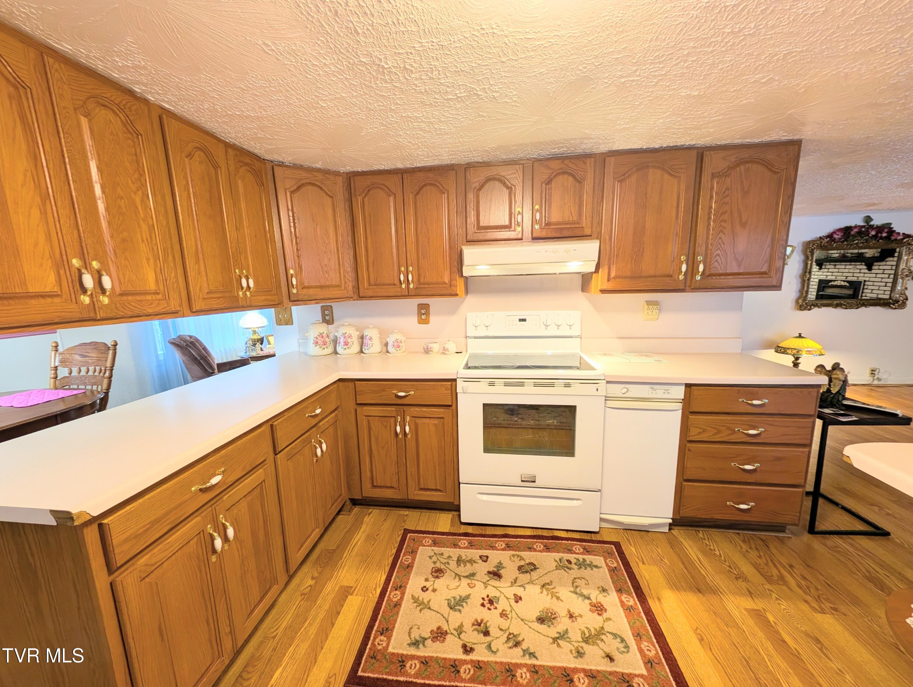 1991 Old Greenbrier Road Haysi, VA 24256 - Photo 18 of 31 1000017565