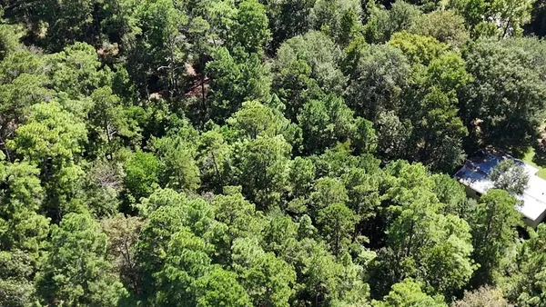 $12,900 | Lot 226 Canyon Drive, Onalaska, TX 77360