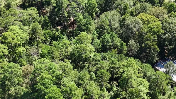 $12,900 | Lot 226 Canyon Drive, Onalaska, TX 77360