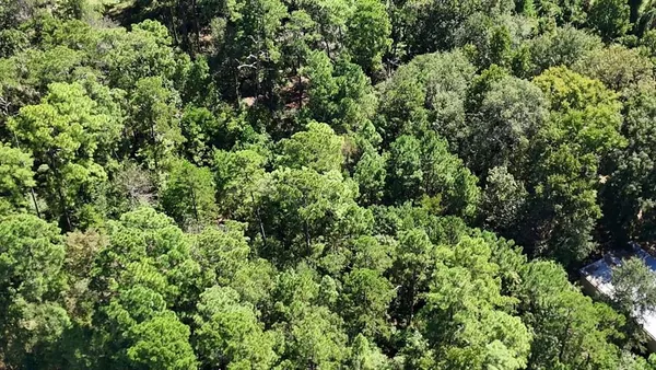 $12,900 | Lot 226 Canyon Drive, Onalaska, TX 77360