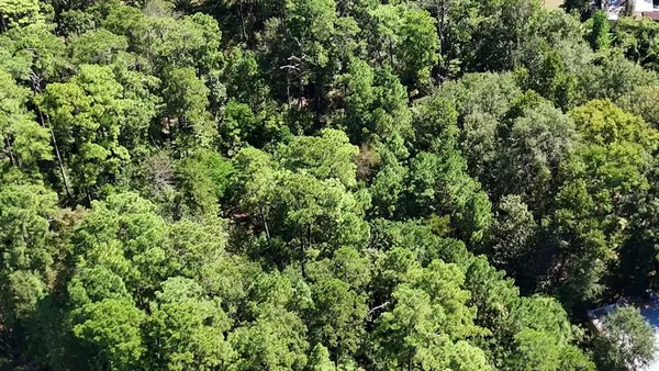 $12,900 | Lot 226 Canyon Drive, Onalaska, TX 77360