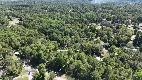 $12,900 | Lot 226 Canyon Drive, Onalaska, TX 77360