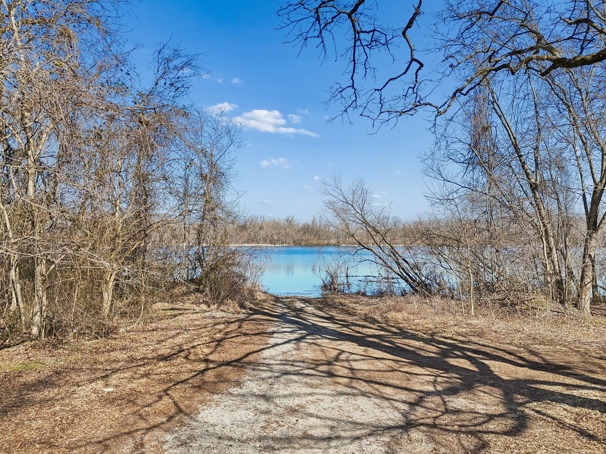 516 Davis Street Cowan, TN 37318 - Photo 38 of 40 a view of a yard