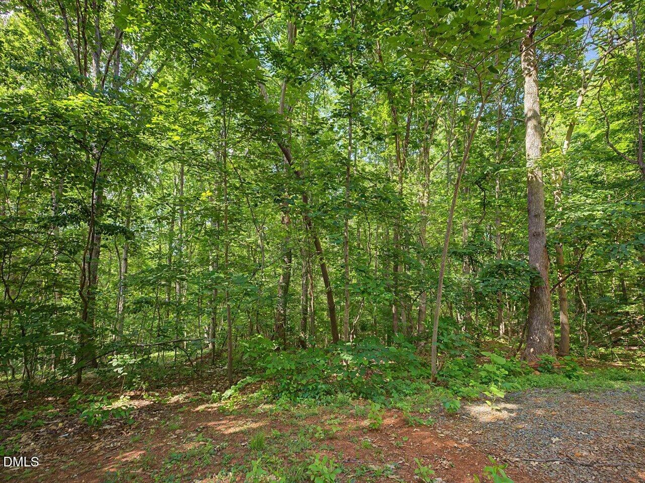 289 Alex Watson Road Siler City, NC 27344 - Photo 23 of 36