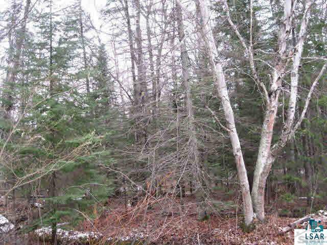 87835 Carls Road Cornucopia, WI 54827 - Photo 2 of 6 Gallery Image 2