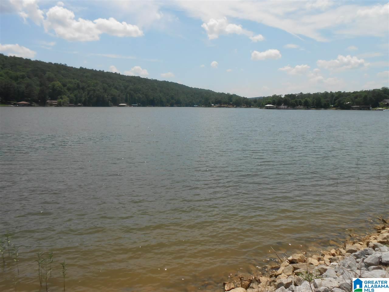Holiday Estates Road, Unit 11 Ashville, AL 35953 - Photo 2 of 4
