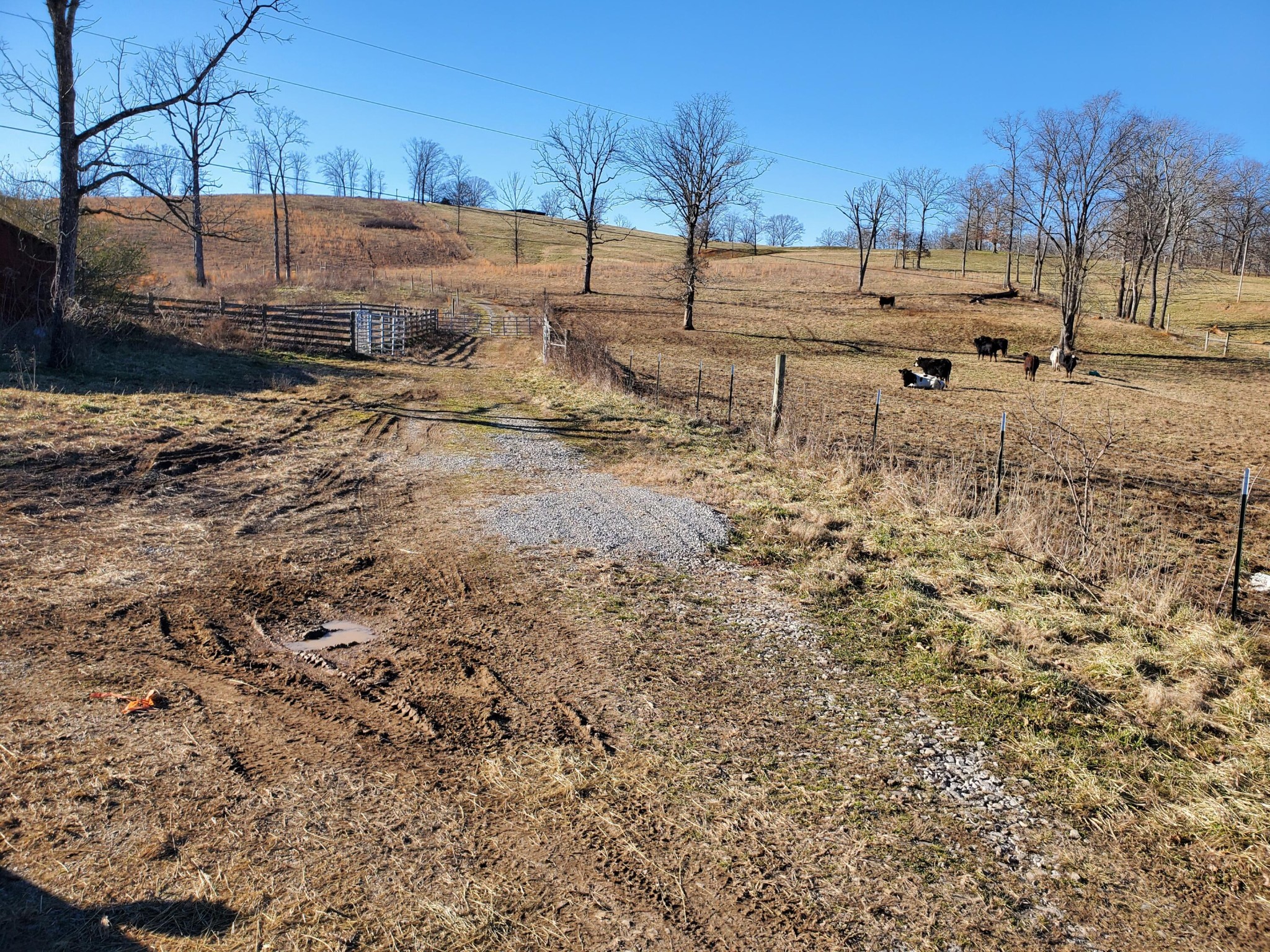 0 Neergaard Road Dunlap, TN 37327 - Photo 1 of 5 Gallery Image 1