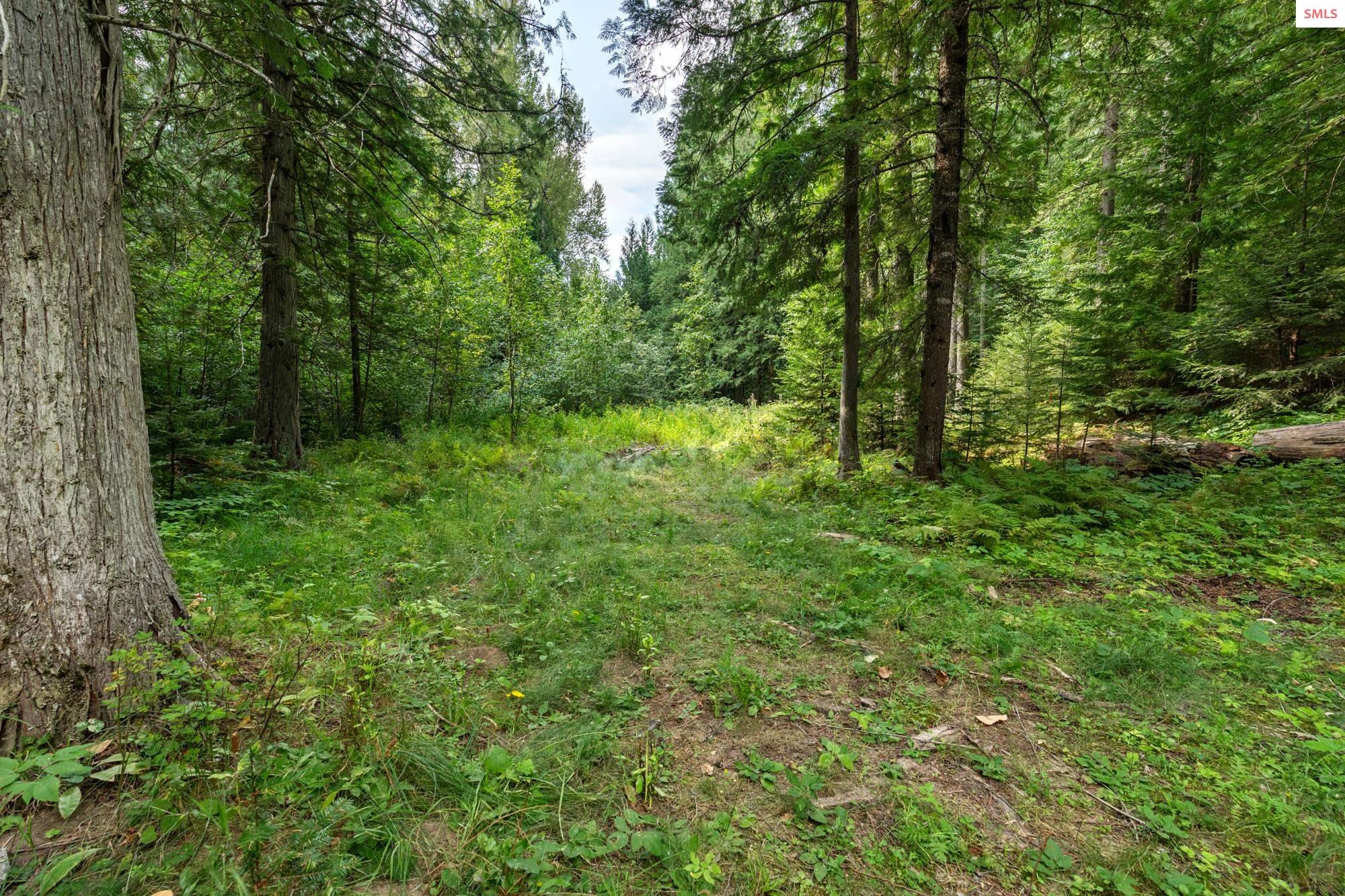 185 Carr Creek Road Sandpoint, ID 83864 - Photo 22 of 24 Gallery Image 22
