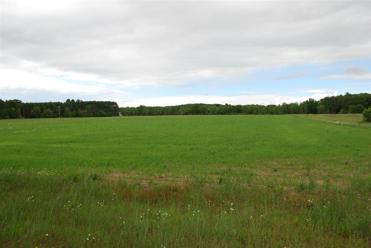 6773 Kenny Road Kaleva, MI 49645 - Photo 40 of 47 1826335-39.JPG