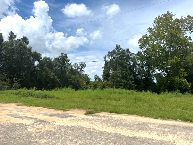 12239 Burke Road Fountain, FL 32438 - Photo 2 of 6 Burke