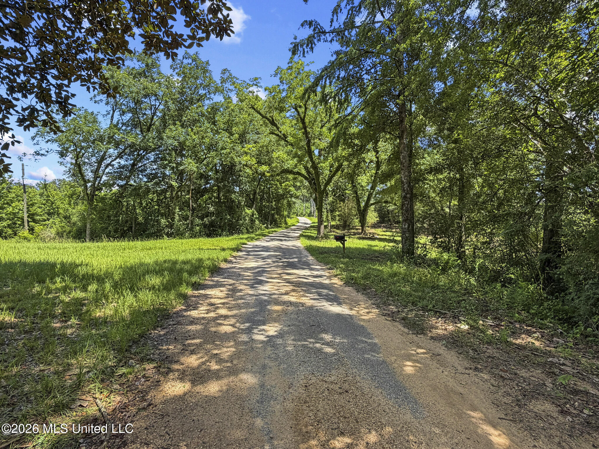 13 Co Road Louin, MS 39338 - Photo 4 of 29 IMG_3421