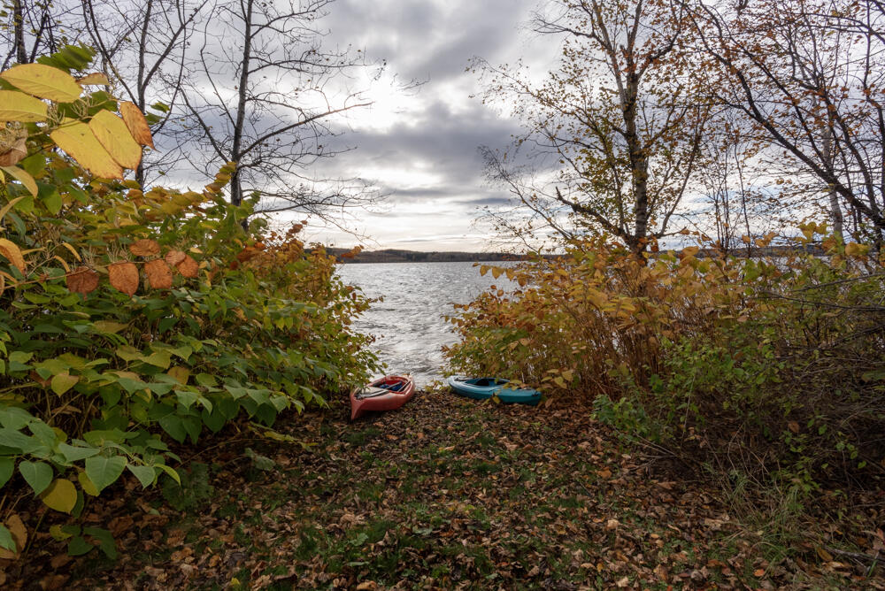 12 Sugartree Road St. David, ME 04773 - Photo 116 of 121 _NIK3468