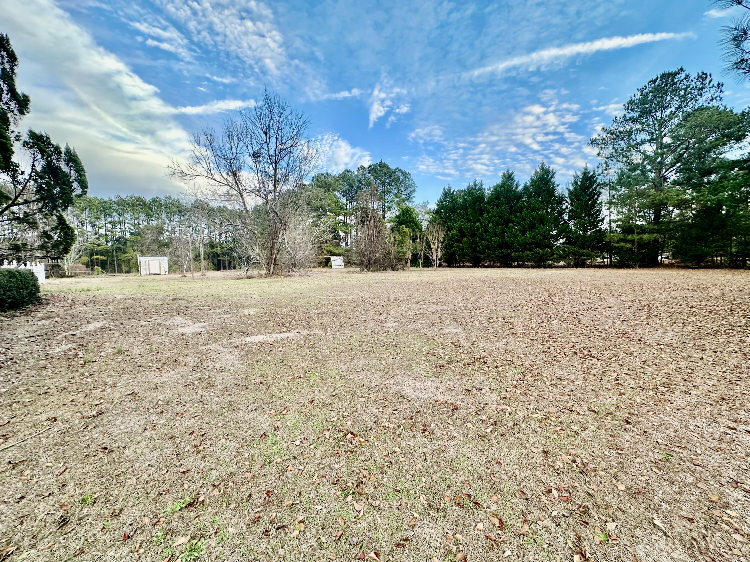 172 Marigold Road Orangeburg, SC 29115 - Photo 5 of 25 IMG_7323