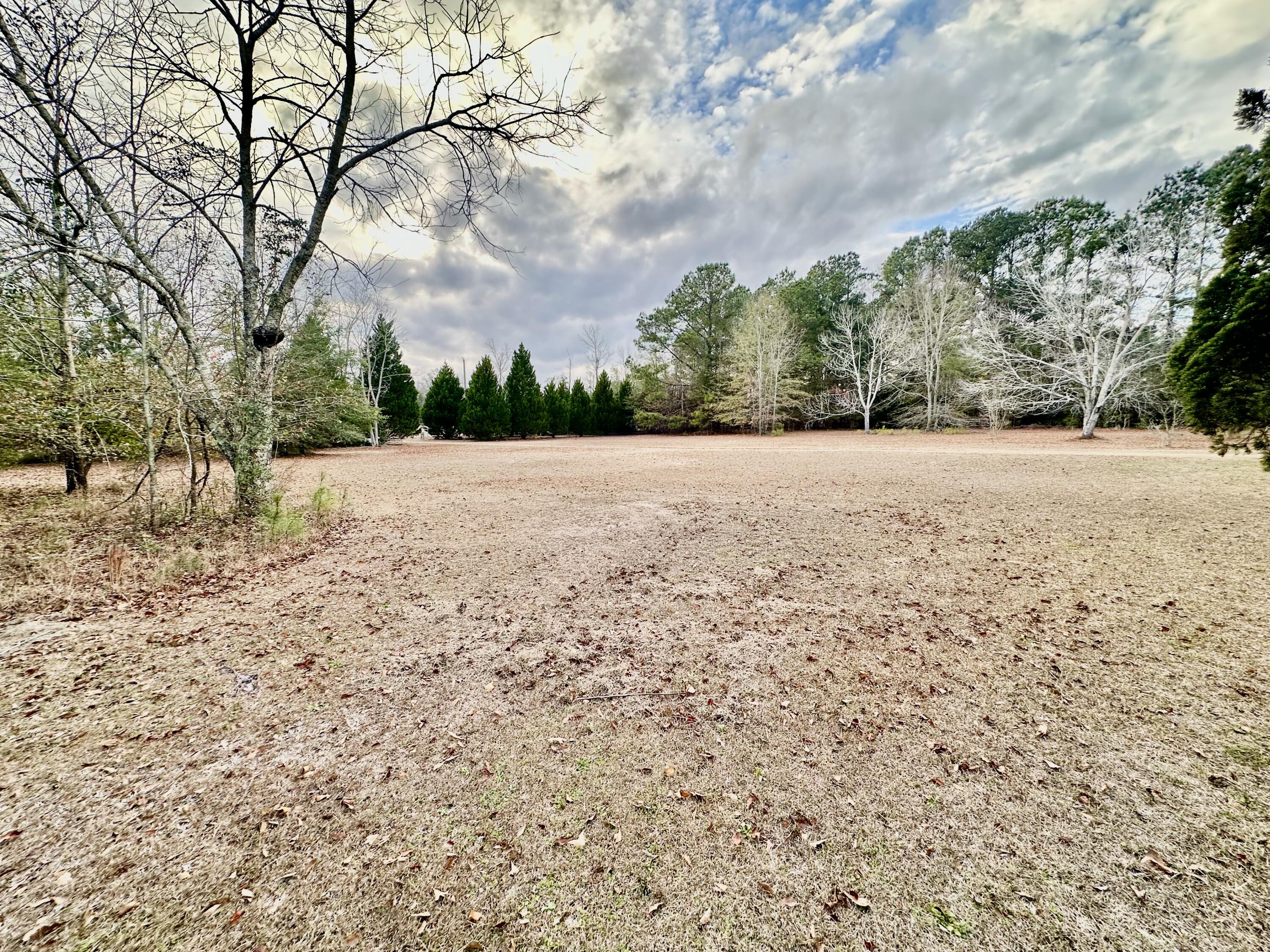 172 Marigold Road Orangeburg, SC 29115 - Photo 6 of 25 IMG_7324