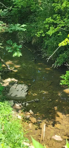 a view of a lake from a yard