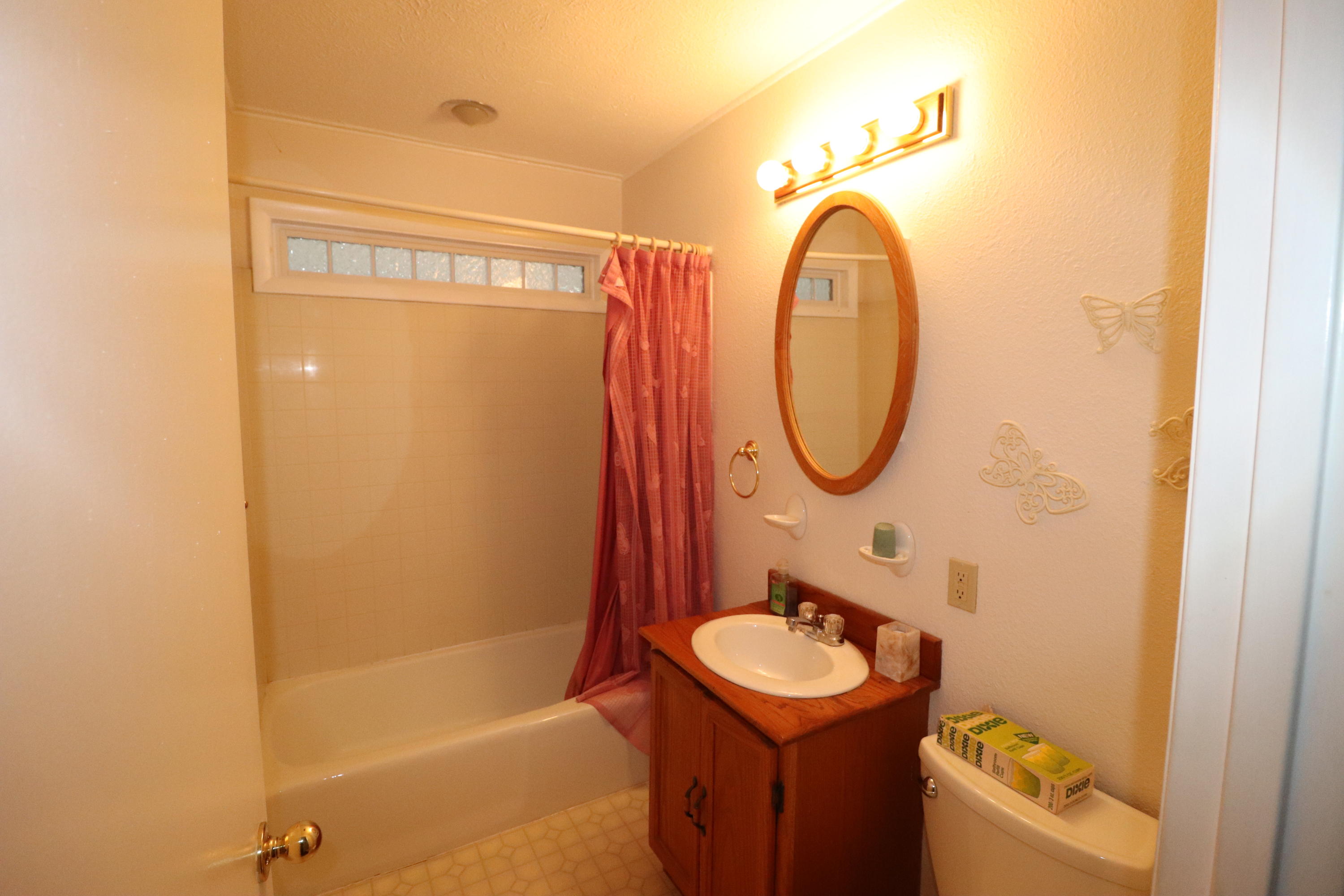107 Ulena Lane Oak Ridge, TN 37830 - Photo 7 of 7 Hall bath