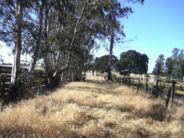 18763 Clements Road Lodi, CA 95240 - Photo 4 of 8 a view of outdoor space with trees