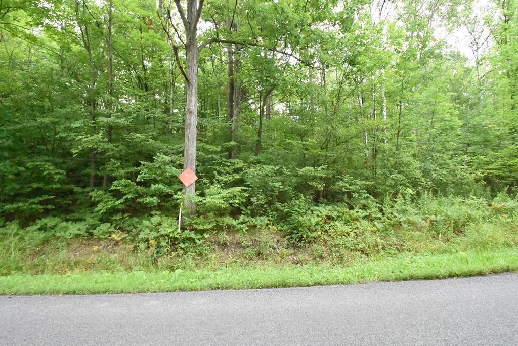 Lot 5 South Hibbard Road Big Flats, NY 14814 - Photo 1 of 1