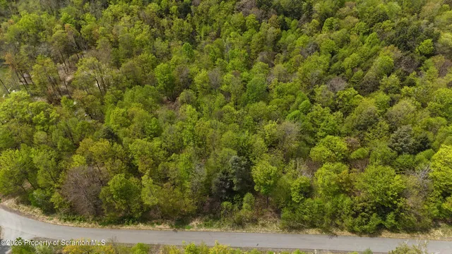 a view of a field of grass and trees