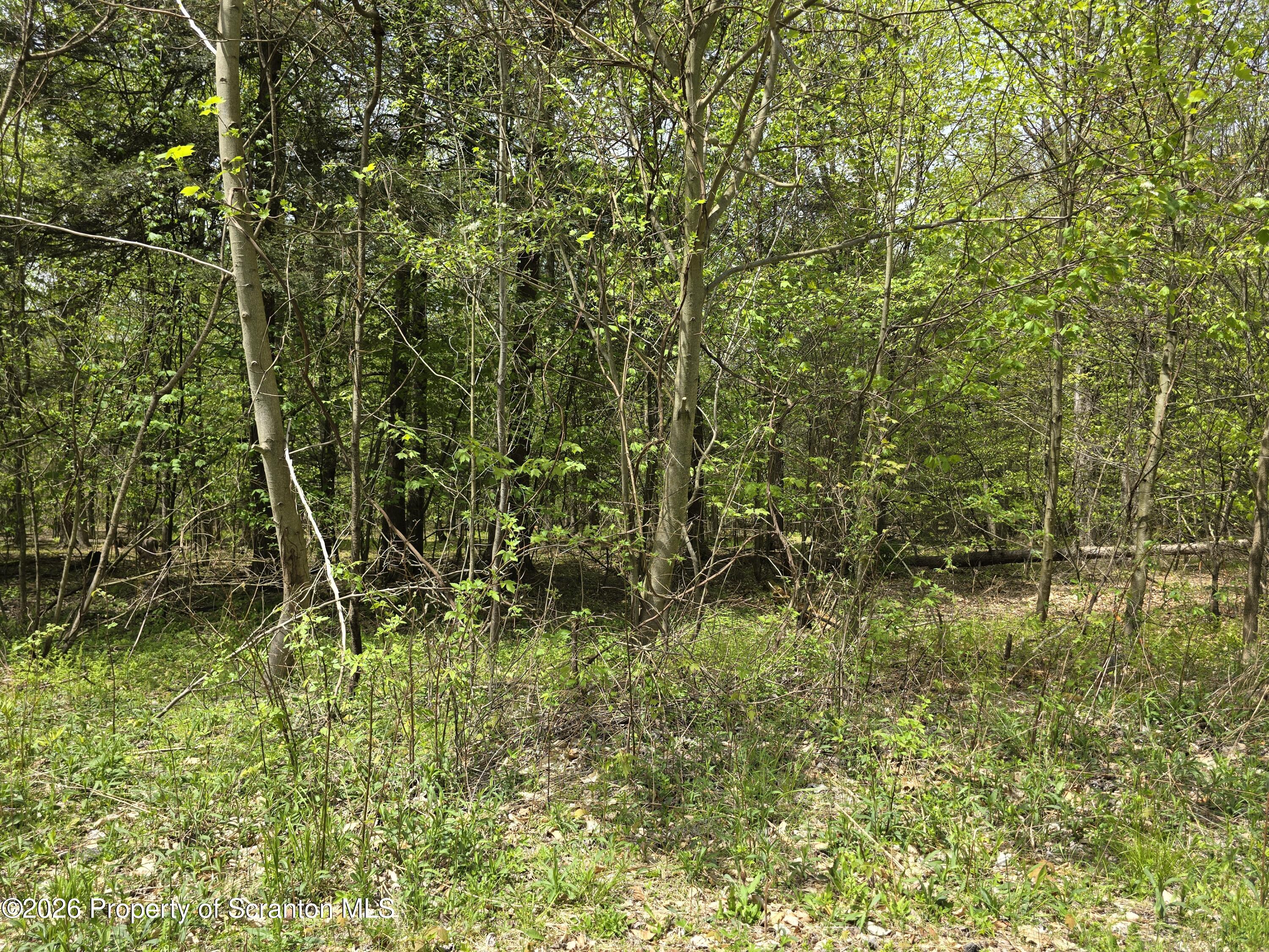212 Wright Way Factoryville, PA 18419 - Photo 6 of 10 a view of a garden
