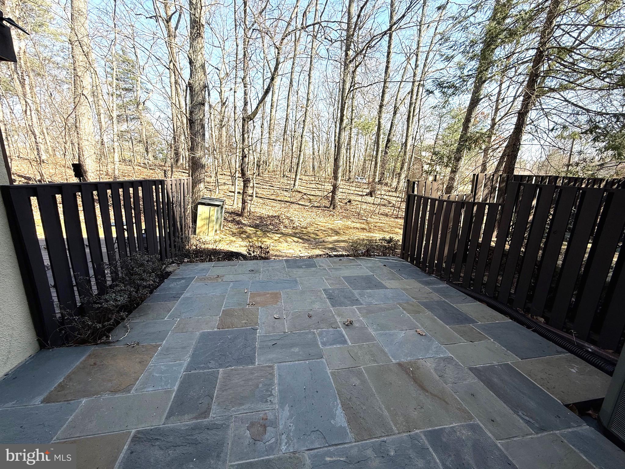 2102 Cartwright Place Reston, VA 20191 - Photo 20 of 22 Spacious Patio with Woods View