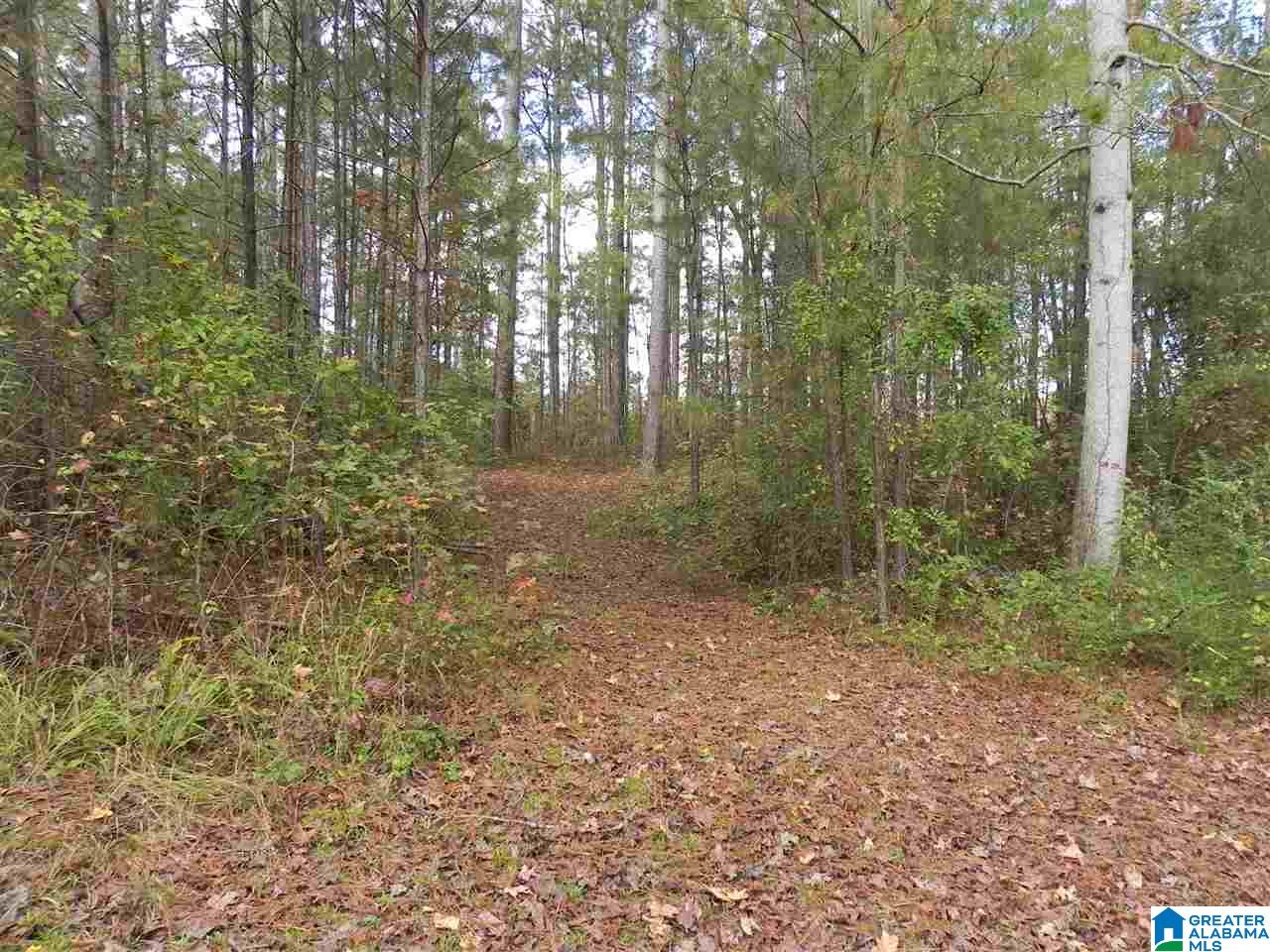 233 Bedwell Street Heflin, AL 36264 - Photo 33 of 43