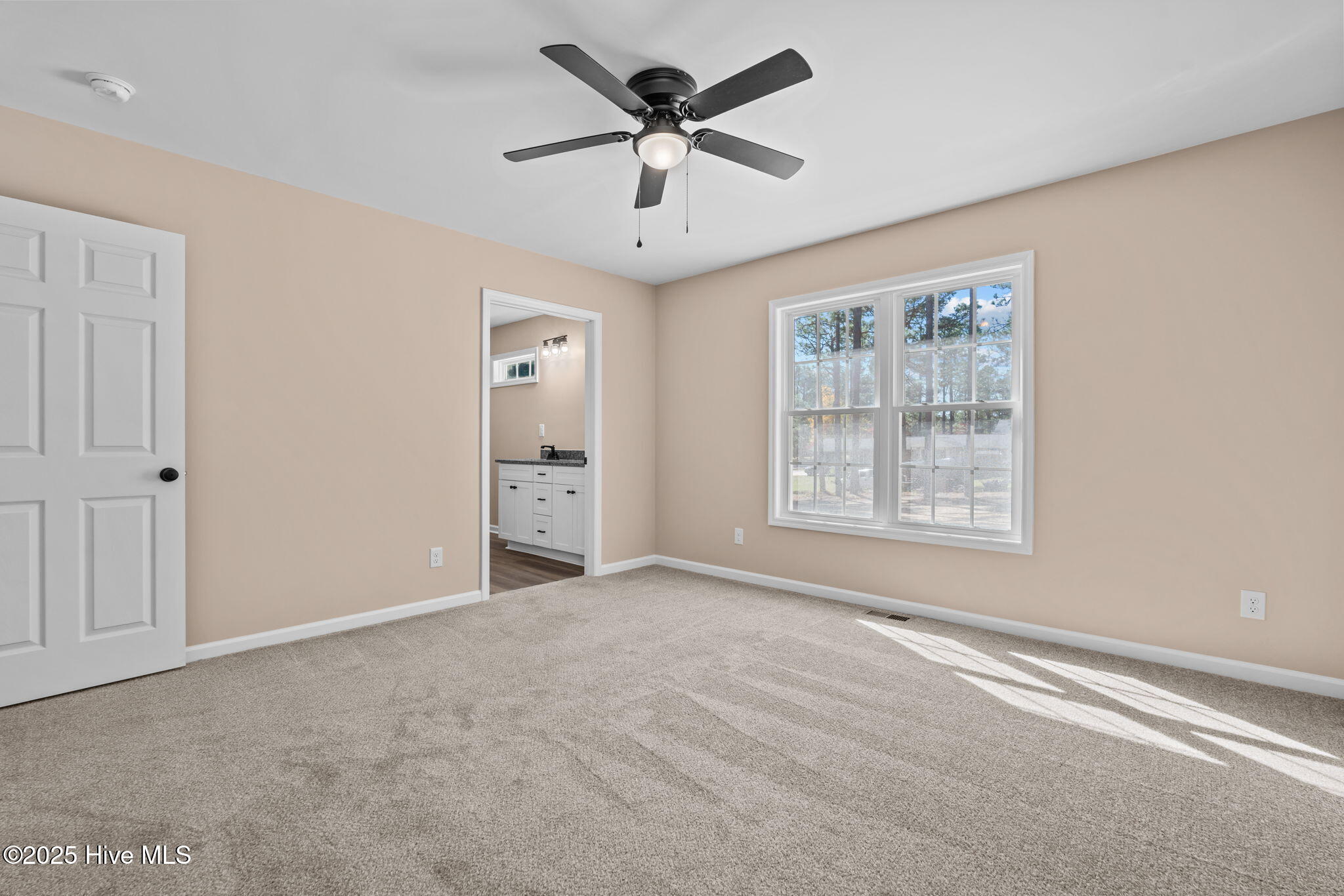 217 Beech Street Hamlet, NC 28345 - Photo 23 of 47 27-web-or-mls-DSC01253