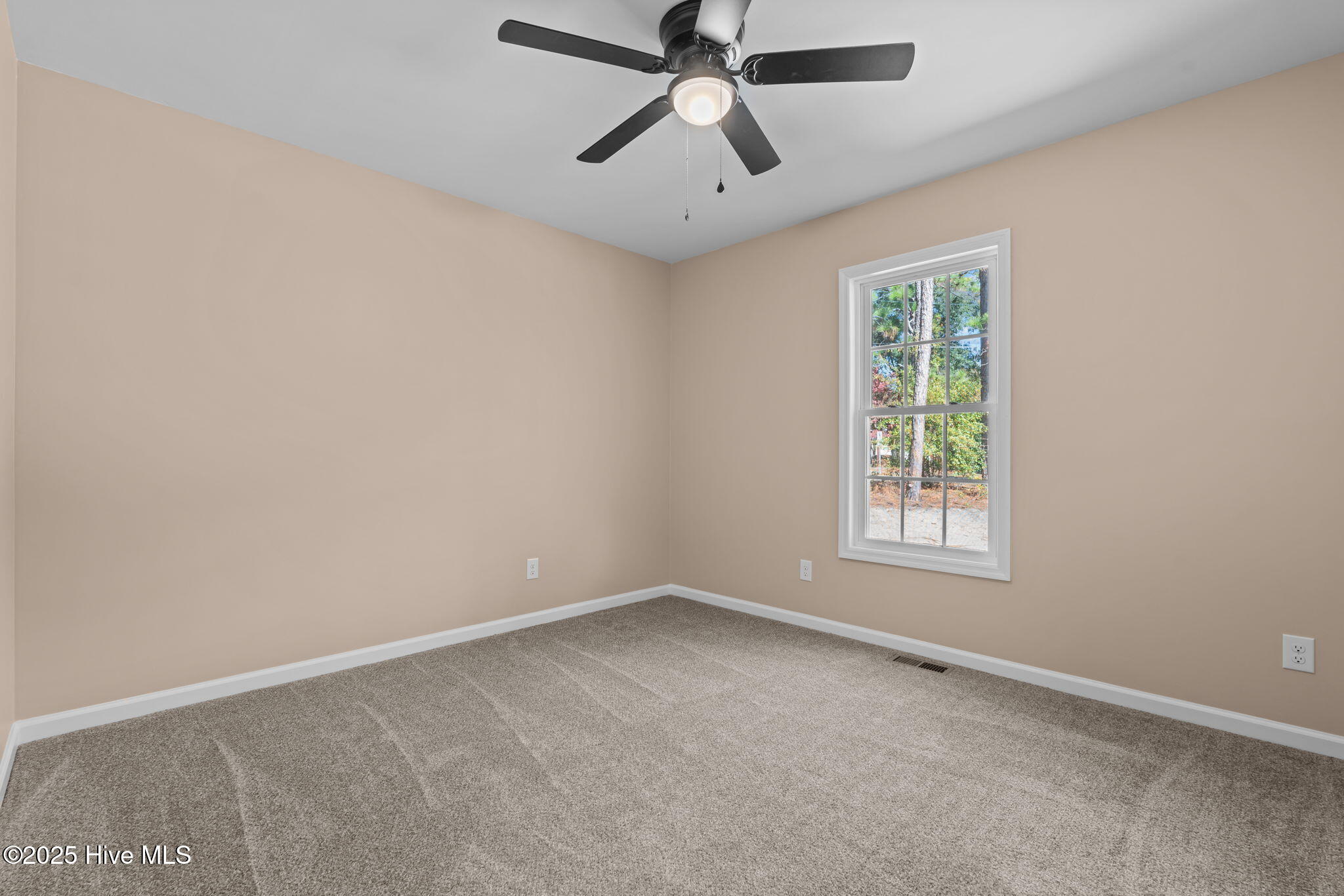 217 Beech Street Hamlet, NC 28345 - Photo 25 of 47 31-web-or-mls-DSC01265